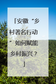 安徽“乡村著名行动”如何赋能乡村振兴？