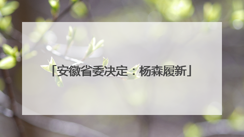 安徽省委决定：杨森履新