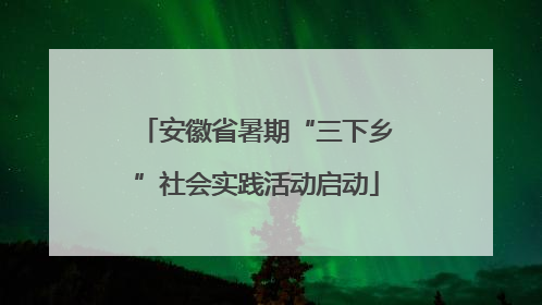 安徽省暑期“三下乡”社会实践活动启动
