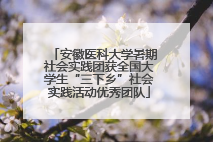 安徽医科大学暑期社会实践团获全国大学生“三下乡”社会实践活动优秀团队