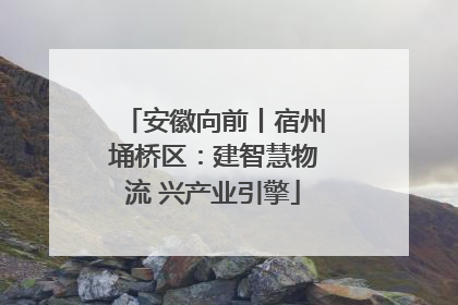 安徽向前丨宿州埇桥区：建智慧物流 兴产业引擎
