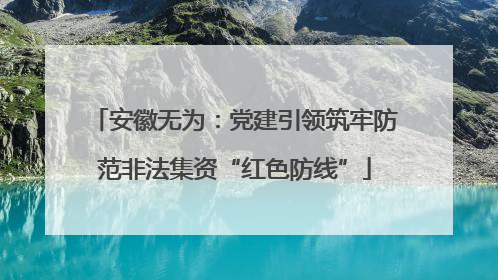 安徽无为：党建引领筑牢防范非法集资“红色防线”