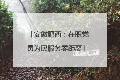 安徽肥西：在职党员为民服务零距离