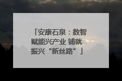 安康石泉：数智赋能兴产业 铺就振兴“新丝路”