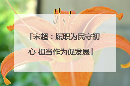 宋超：履职为民守初心 担当作为促发展