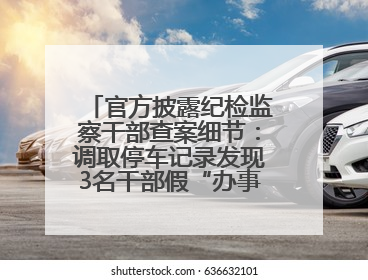 官方披露纪检监察干部查案细节：调取停车记录发现3名干部假“办事”真麻将