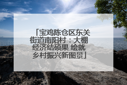 宝鸡陈仓区东关街道南阳村：大棚经济结硕果 绘就乡村振兴新图景