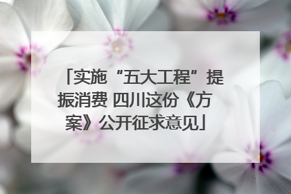 实施“五大工程”提振消费 四川这份《方案》公开征求意见