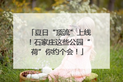 夏日“顶流”上线！石家庄这些公园“荷”你约个会！