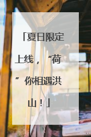 夏日限定上线，“荷”你相遇洪山！