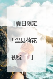 夏日限定！温县荷花初绽……