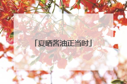 夏晒酱油正当时