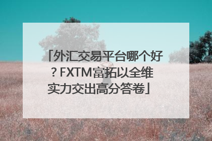外汇交易平台哪个好？FXTM富拓以全维实力交出高分答卷