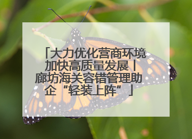 大力优化营商环境 加快高质量发展丨廊坊海关容错管理助企“轻装上阵”