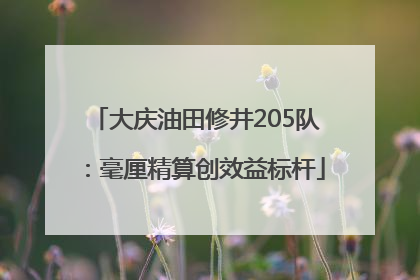 大庆油田修井205队：毫厘精算创效益标杆