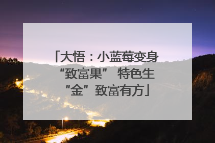 大悟：小蓝莓变身“致富果” 特色生“金”致富有方