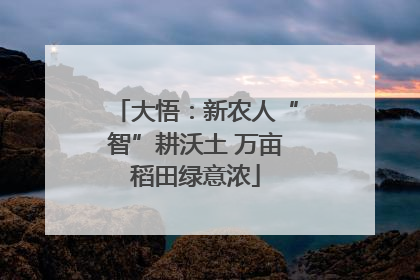 大悟：新农人“智”耕沃土 万亩稻田绿意浓