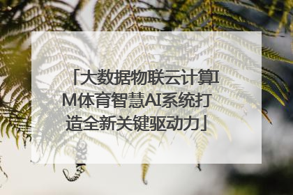 大数据物联云计算IM体育智慧AI系统打造全新关键驱动力