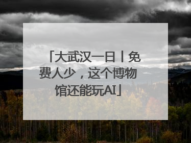 大武汉一日丨免费人少，这个博物馆还能玩AI
