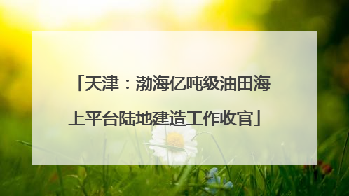 天津：渤海亿吨级油田海上平台陆地建造工作收官