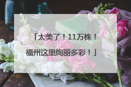 太美了！11万株！福州这里绚丽多彩！