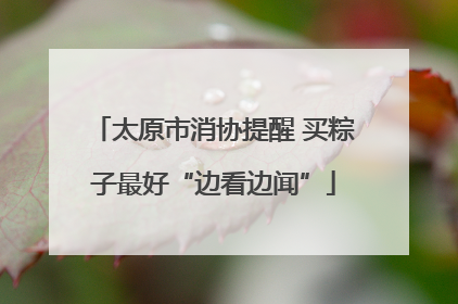 太原市消协提醒 买粽子最好“边看边闻”