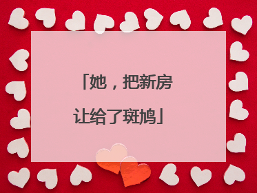她，把新房让给了斑鸠