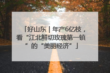 好山东｜年产6亿枝，看“江北鲜切玫瑰第一镇”的“美丽经济”