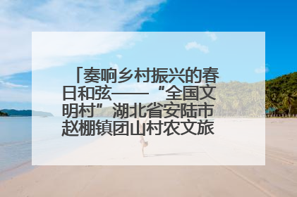 奏响乡村振兴的春日和弦——“全国文明村”湖北省安陆市赵棚镇团山村农文旅融合发展见闻