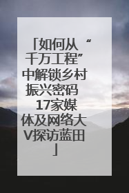 如何从“千万工程”中解锁乡村振兴密码  17家媒体及网络大V探访蓝田