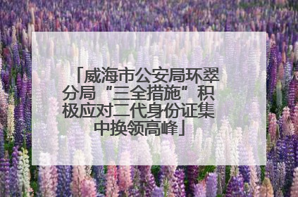 威海市公安局环翠分局“三全措施”积极应对二代身份证集中换领高峰