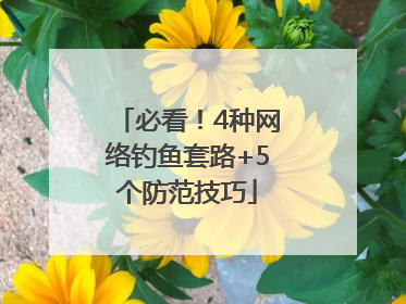 必看！4种网络钓鱼套路+5个防范技巧
