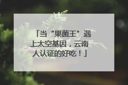 当“果菌王”遇上太空基因，云南人认证的好吃！