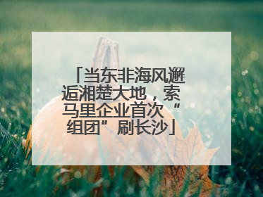 当东非海风邂逅湘楚大地，索马里企业首次“组团”刷长沙