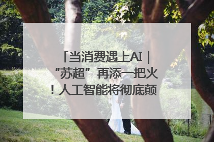 当消费遇上AI｜“苏超”再添一把火！人工智能将彻底颠覆绿茵场？