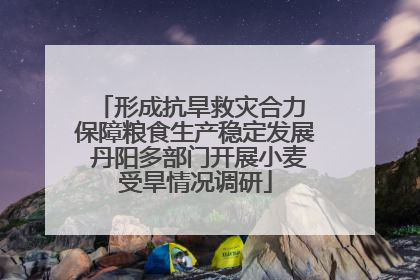 形成抗旱救灾合力 保障粮食生产稳定发展 丹阳多部门开展小麦受旱情况调研