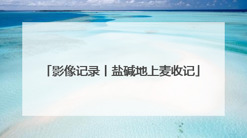 影像记录丨盐碱地上麦收记