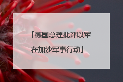 德国总理批评以军在加沙军事行动