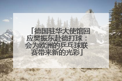 德国驻华大使馆回应樊振东赴德打球：会为欧洲的乒乓球联赛带来新的光彩