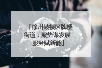 徐州鼓楼区牌楼街道：聚势谋发展 服务赋新能
