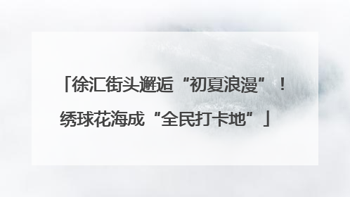 徐汇街头邂逅“初夏浪漫”！绣球花海成“全民打卡地”