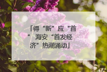 得“新”应“首” 海安“首发经济”热潮涌动