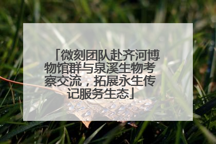 微刻团队赴齐河博物馆群与泉溪生物考察交流，拓展永生传记服务生态
