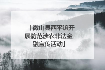 微山县西平镇开展防范涉农非法金融宣传活动