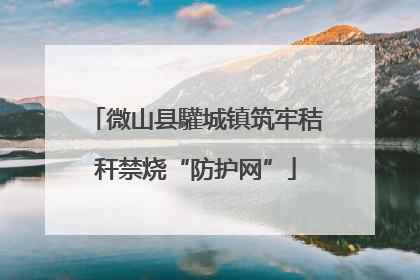 微山县驩城镇筑牢秸秆禁烧“防护网”