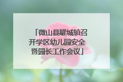 微山县驩城镇召开学区幼儿园安全暨园长工作会议