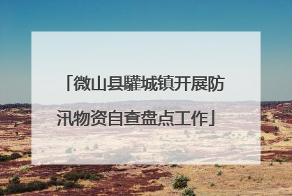 微山县驩城镇开展防汛物资自查盘点工作