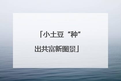 小土豆“种”出共富新图景