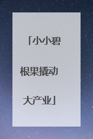 小小碧根果撬动大产业