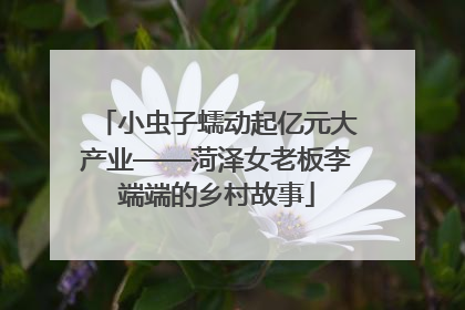 小虫子蠕动起亿元大产业——菏泽女老板李端端的乡村故事